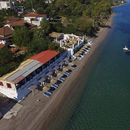 Taradella Hotel Alissos Exterior photo
