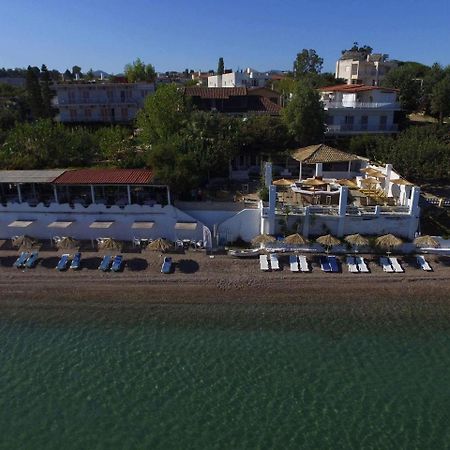 Taradella Hotel Alissos Exterior photo